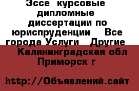 Эссе, курсовые, дипломные, диссертации по юриспруденции! - Все города Услуги » Другие   . Калининградская обл.,Приморск г.